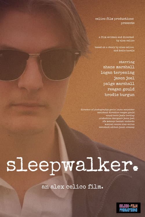 Poster for Sleepwalker