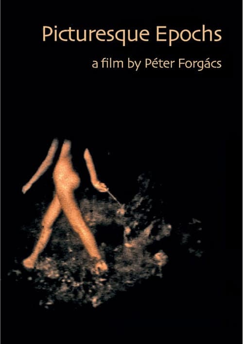 Poster for Picturesque Epochs