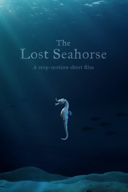 Постер до фільму «The Lost Seahorse»
