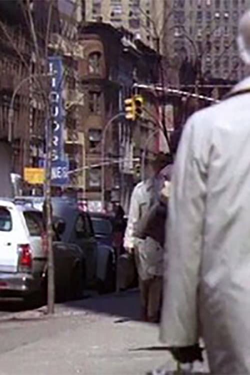 Poster for Traveling Shots: NYC