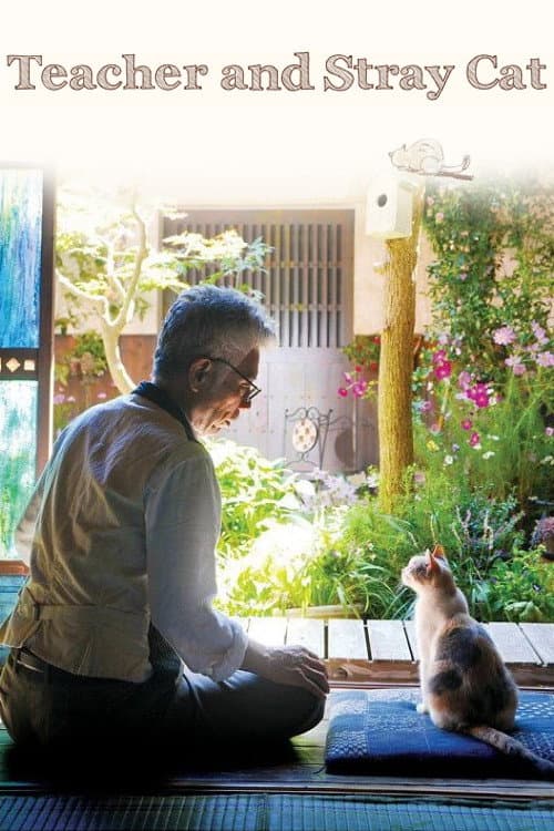 Poster for Teacher and Stray Cat