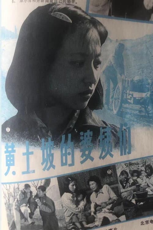 Poster for The Women of Huangtupo Village