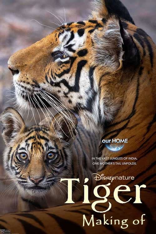 Poster for Tigres : Le Making of