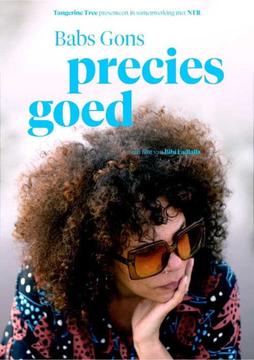 Poster for Babs Gons - Precies Goed