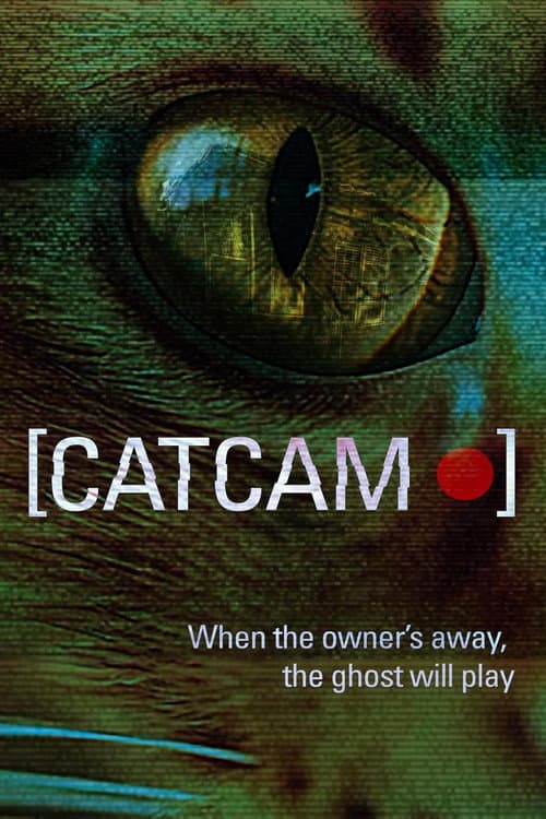 Poster for Cat Cam