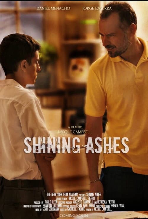 Poster for Shining Ashes