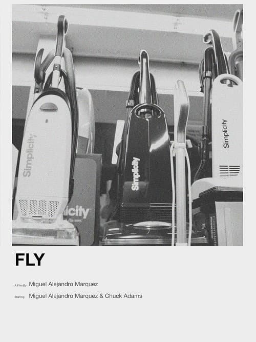 Poster for Fly