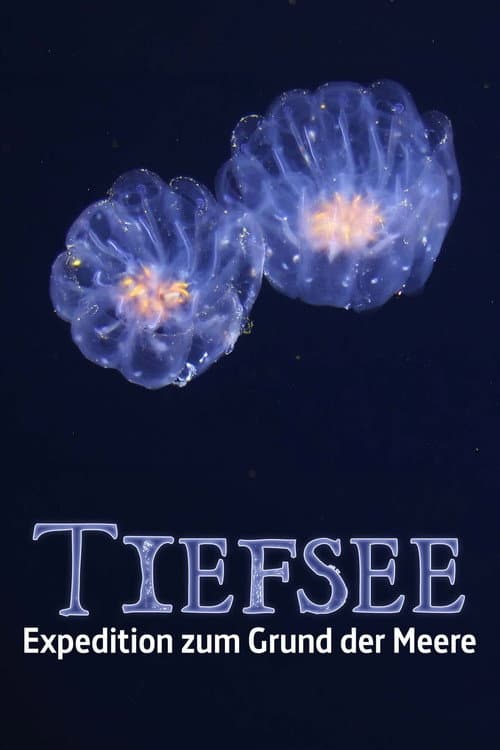 Poster for Faszination Tiefsee - Expedition zum Grund der Meere