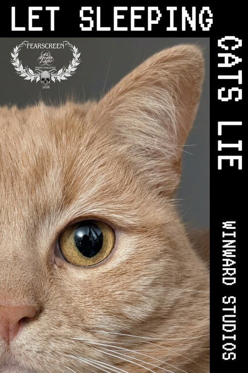 Poster for Let Sleeping Cats Lie