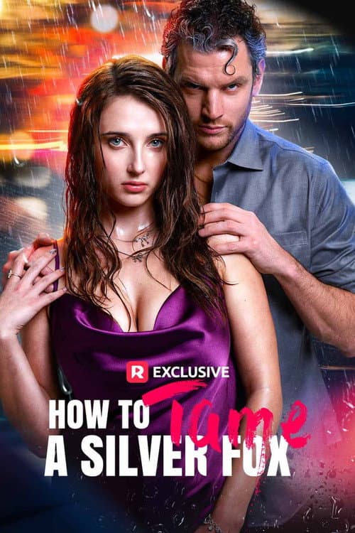 Poster for How To Tame A Silver Fox