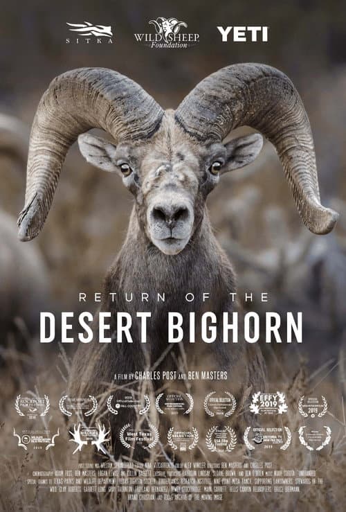 Poster for Return of the Desert Bighorn
