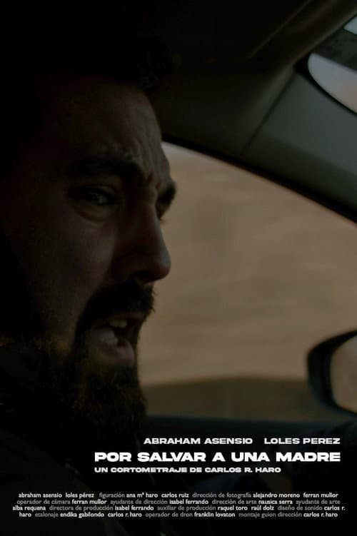 Poster for For Saving A Mother