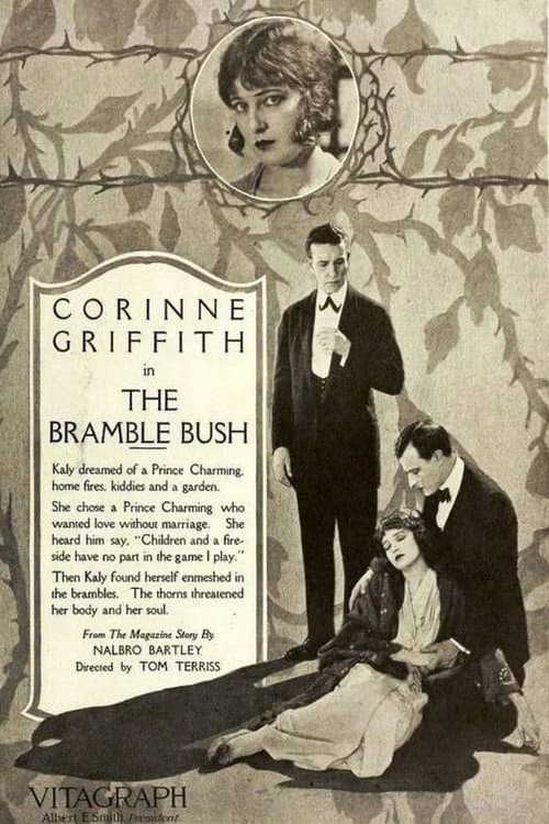 Poster for The Bramble Bush