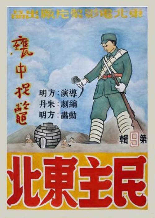 Poster for Capturing the Turtle in the Jar