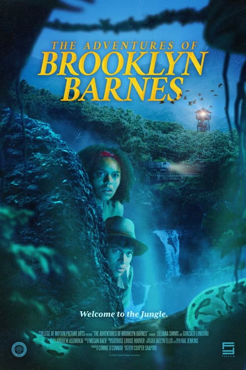 Poster for The Adventures of Brooklyn Barnes