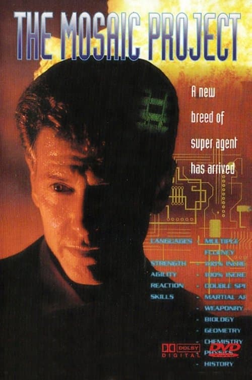 Poster for The Mosaic Project