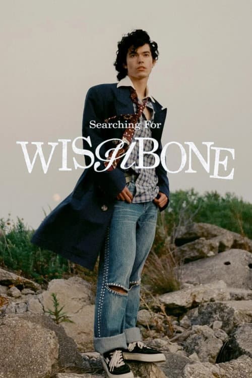 Poster for Conan Gray - Searching for Wishbone