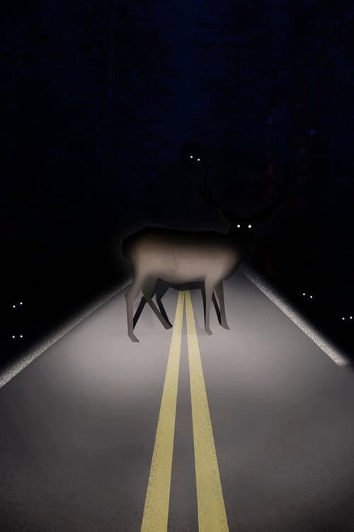 Poster for Roadkill