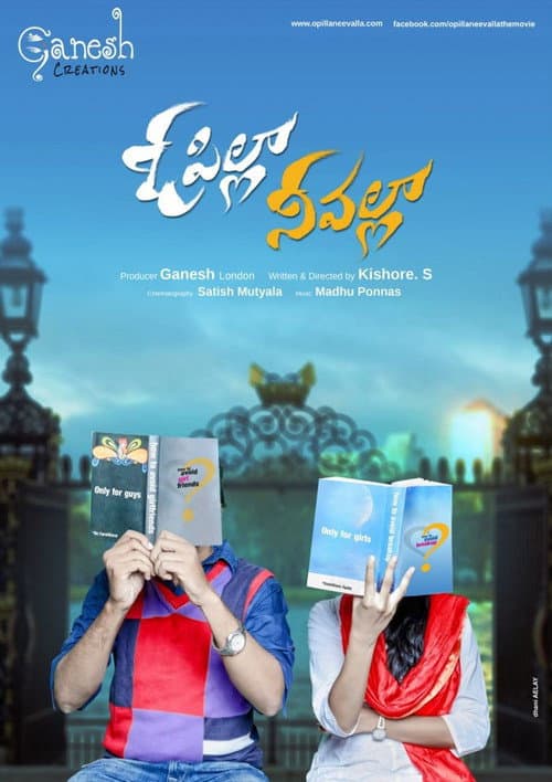 Poster for O Pilla Nee Valla