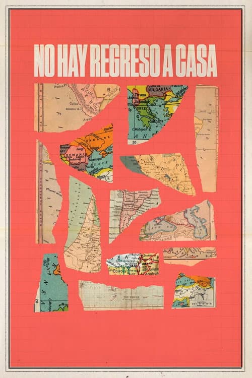 Poster for There is No Way Back Home