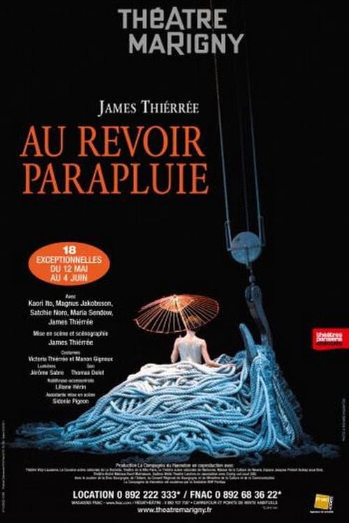 Poster for Au revoir parapluie