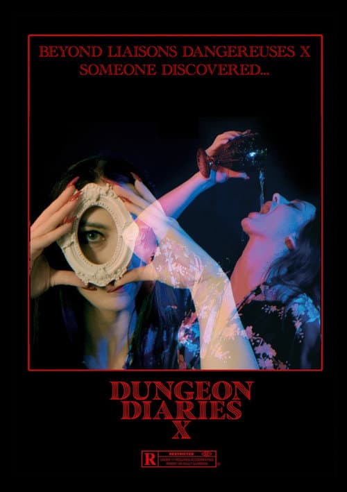 Poster for Dungeon Diaries X