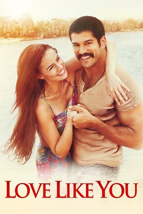 Poster for Love Like You