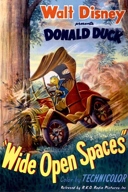 Poster for Wide Open Spaces