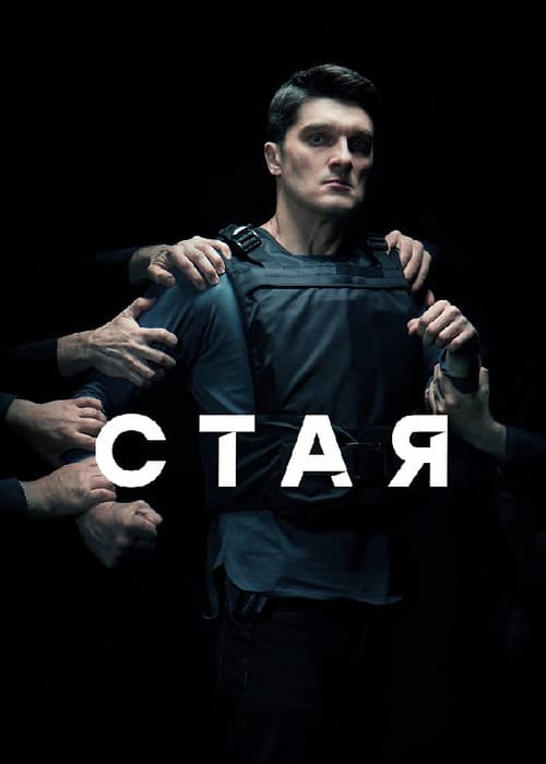Poster for Стая