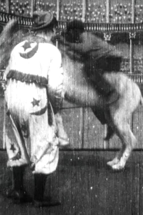 Poster for Trick Donkey