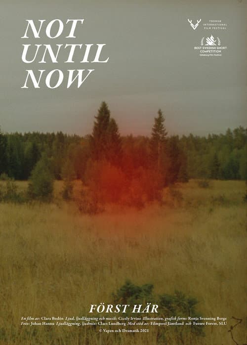Poster for Not Until Now
