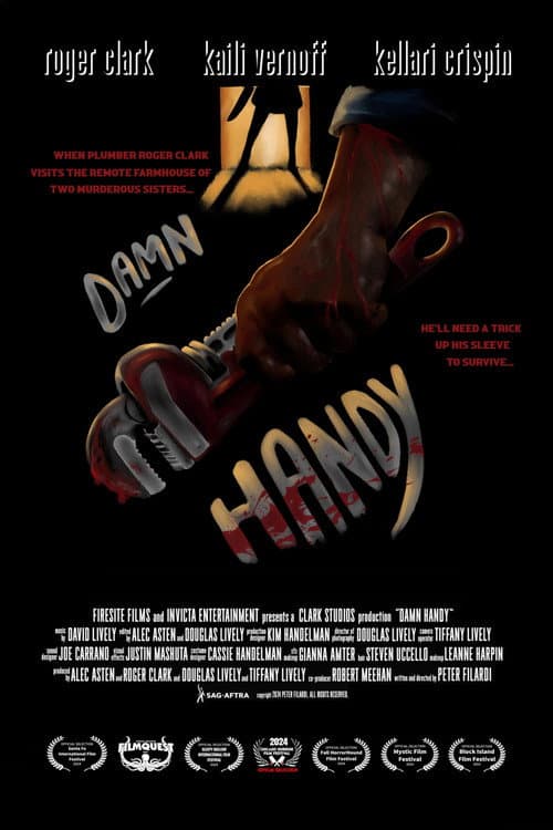 Poster for Damn Handy
