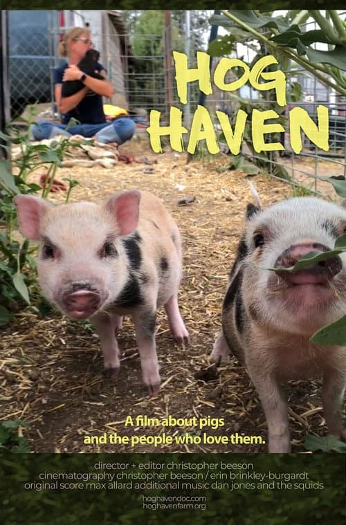 Poster for Hog Haven