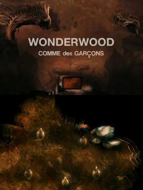 Poster for Wonderwood: Comme des garçons