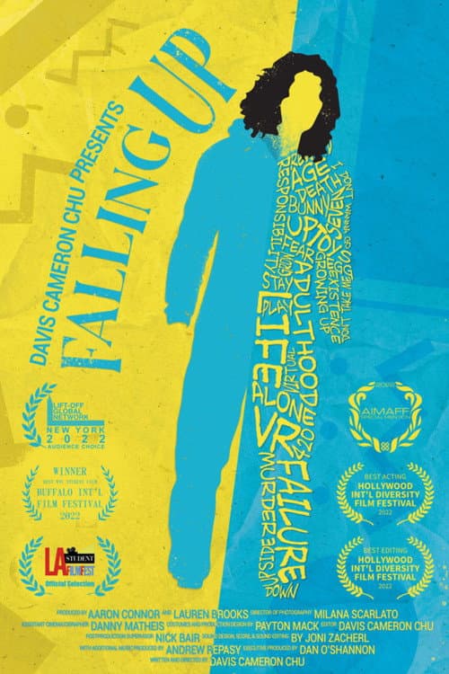 Poster for Falling Up