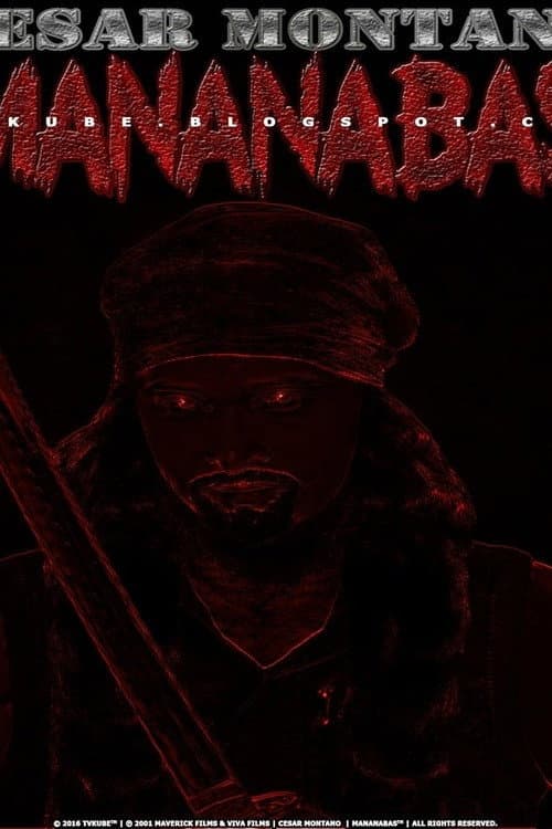 Poster for The Reaper