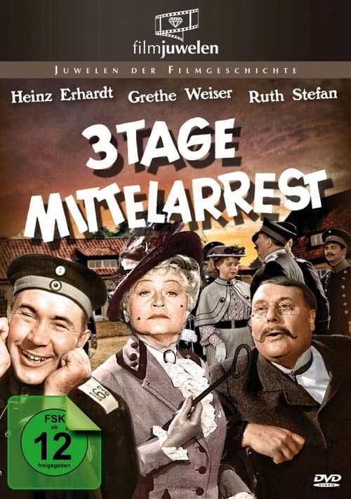Постер до фільму «Drei Tage Mittelarrest»