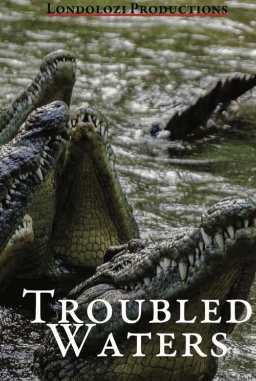 Poster for Troubled Waters