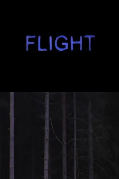 Poster for Flight