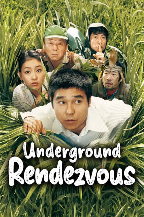 Poster for Underground Rendezvous
