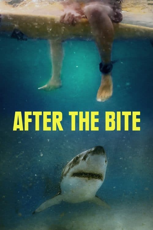 Poster for After the Bite