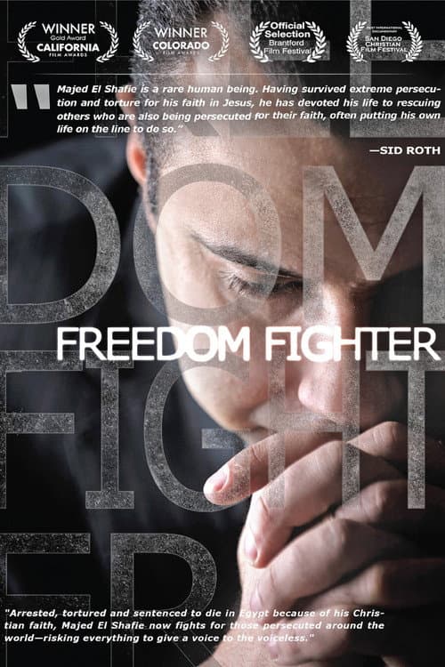 Poster for Freedom Fighter