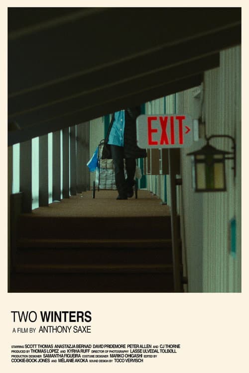 Poster for Two Winters