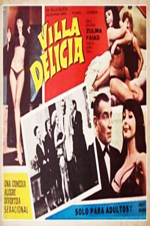 Постер до фільму «Villa Delicia, playa de estacionamiento, música ambiental»