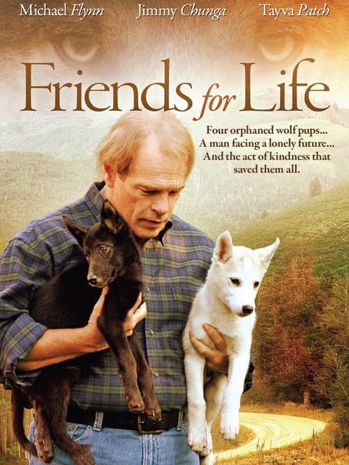 Poster for Friends for Life