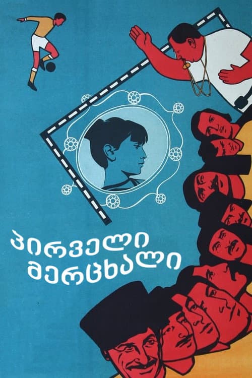 Poster for First Swallow