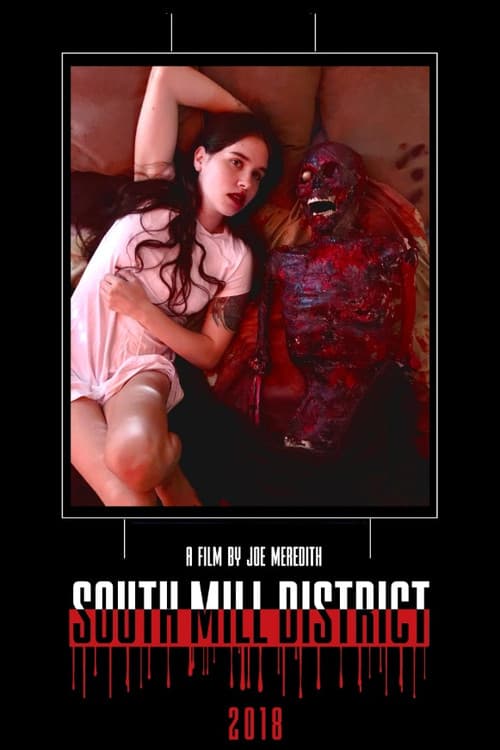 Poster for South Mill District
