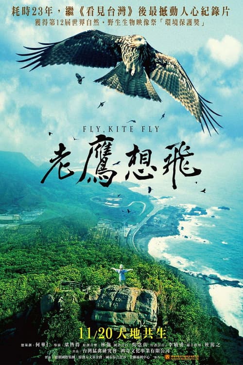 Poster for Fly, Kite Fly
