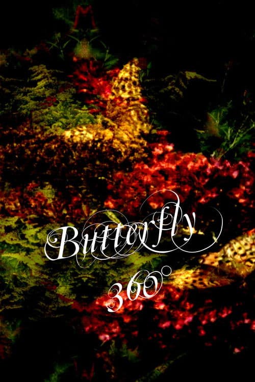 Poster for Butterfly 360°