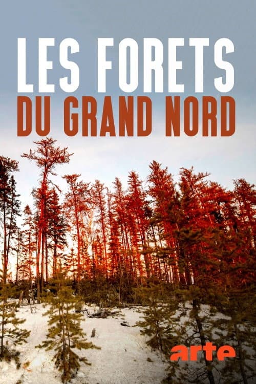 Poster for Les forêts du Grand Nord